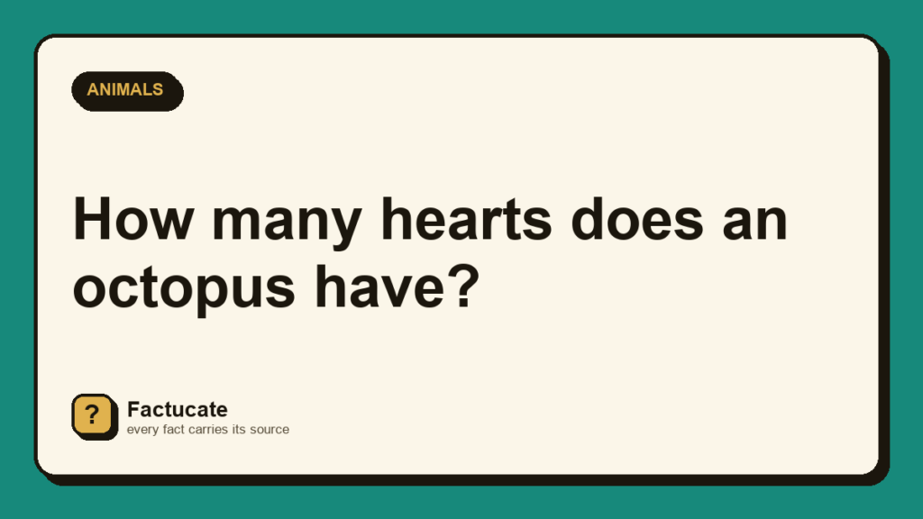 Factucate card: How many hearts does an octopus have?
