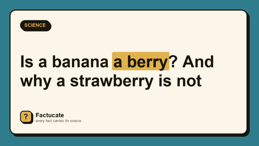 Factucate card: Is a banana a berry? And why a strawberry is not